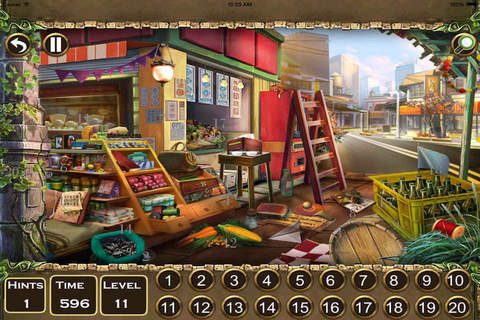 Hidden Numbers 4 in 1 - náhled