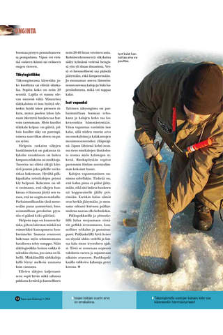 Vapaa-ajan Kalastaja - náhled