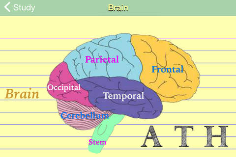 Study-Psych - náhled