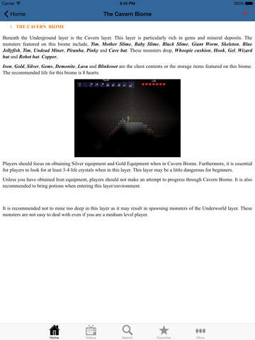 Multiplayer for Terraria screenshot 9