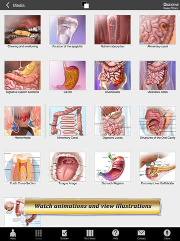 Digestive Anatomy Atlas: Essential Reference for Students and Healthcare Professionals screenshot 9