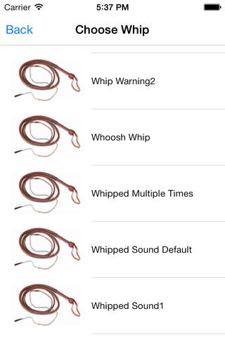 Whip it - Pocket Whip Sounds Pro - náhled