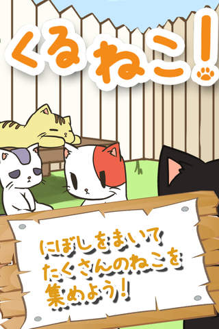 集めて！くるねこ！ - náhled
