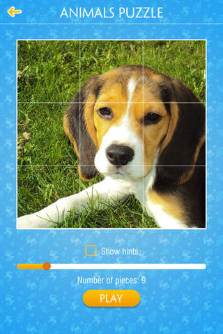 Jigsaw Puzzle - Animals - náhled