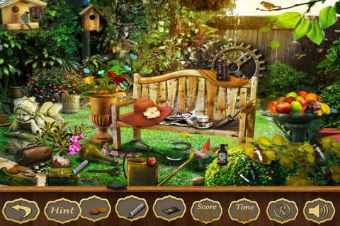 Hidden Objects:A Family Reunion - náhled