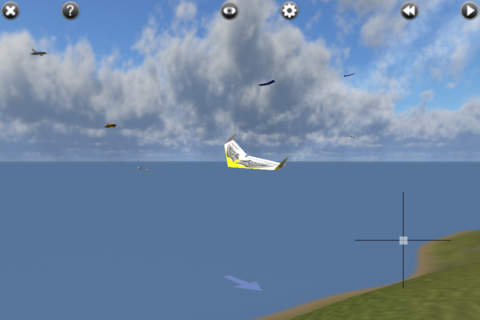 PicaSim - Free flight simulator - náhled