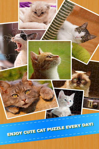Cat Kitten Kitty Pet Jigsaw Puzzle Sliding Game - náhled