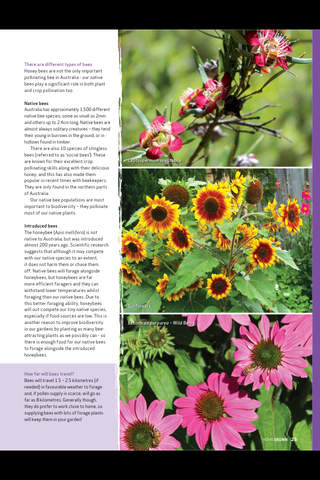 Home Grown Magazine - náhled