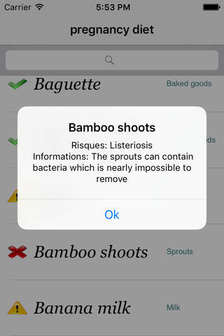 pregnancy diet (No internet needed) - náhled