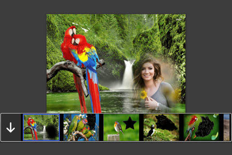 Bird Photo Frames - Creative Frames for your photo - náhled