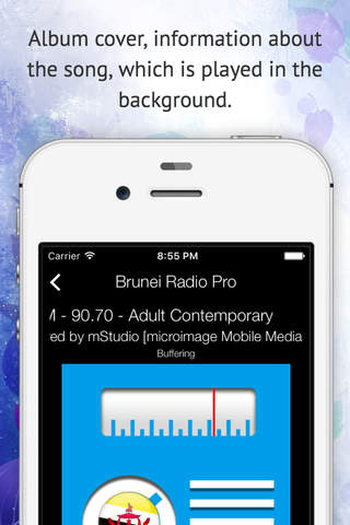 Brunei Radio Pro - náhled