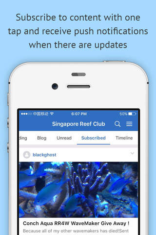 Singapore Reef Club Forum - náhled
