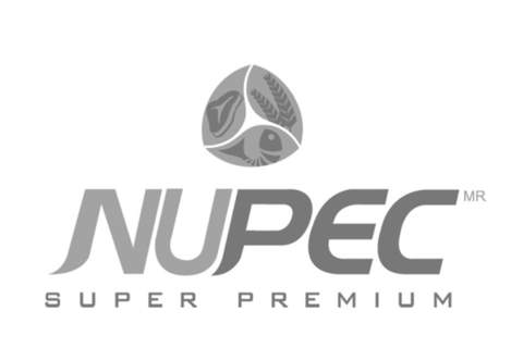 NUPEC - náhled