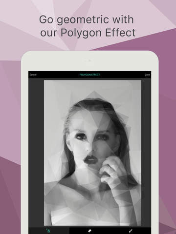 Polygon Effect - Create Low Poly Portraits and Geo - náhled