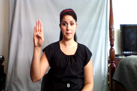 American Sign Language Guide - náhled