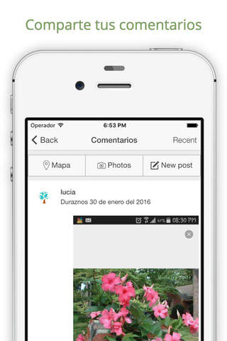 Arboles Frutales - náhled