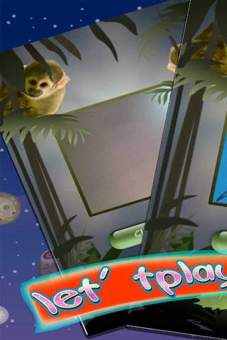 recherche sur les petits animaux:Jeux animaux - náhled