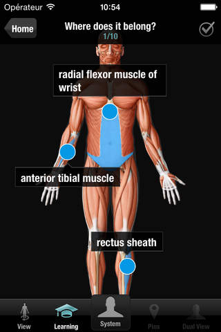 Virtual Human Body - náhled