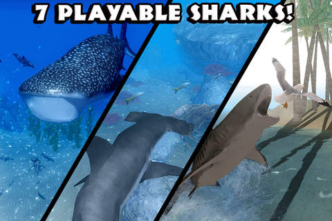Ultimate Shark Simulator - náhled