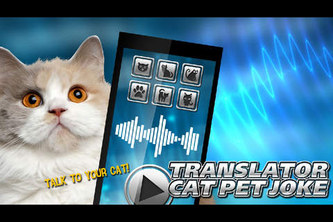 Translator Cat Pet Joke - náhled