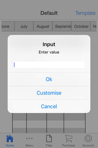 Monthly Check Register - náhled