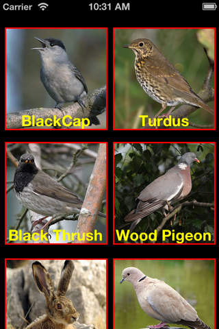 Birds Mimic - náhled