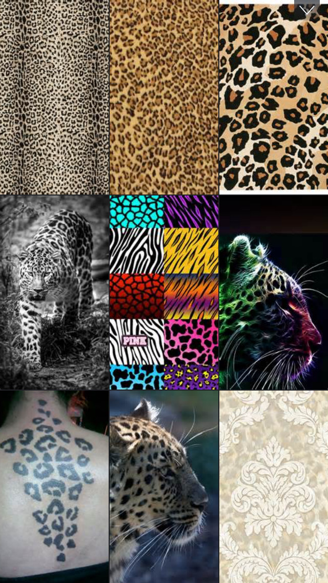 Animals Skin Wallpapers - Animal Print Pictures HD | Apps | 148Apps