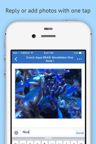 Singapore Reef Club Forum - náhled