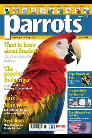 Parrots magazine - náhled