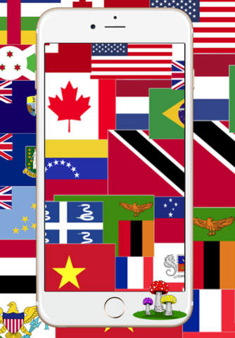 National Country Flags of The World Map Quiz - náhled