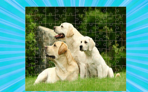 Puppy Dog Jigsaw Puzzle - náhled