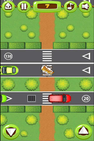 Cross The Road - Traffic Awareness - náhled