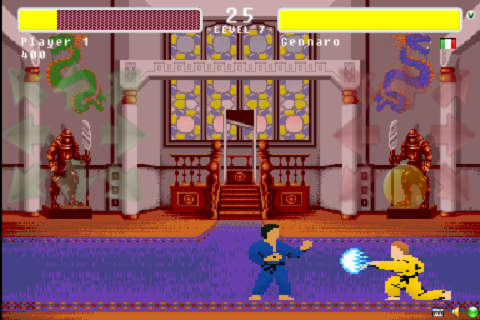 Street Karate Fighter - náhled