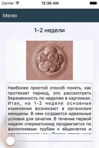 Дневник беременности  9 месяцев - náhled