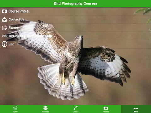 Bird Photography Courses - náhled