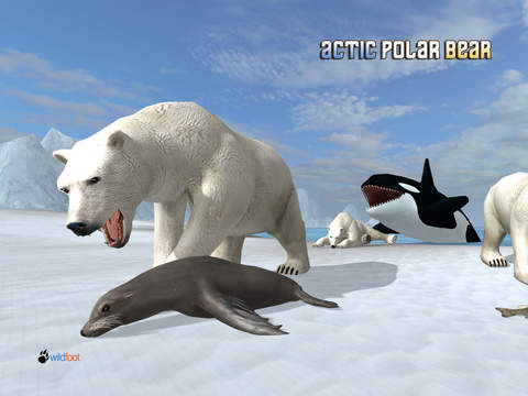 Arctic Polar Bear - náhled