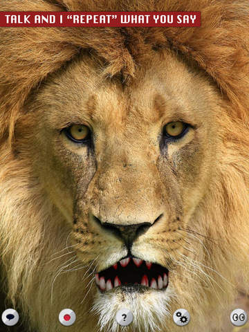 Talking Lion - náhled