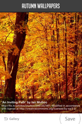 Autumn Wallpapers - náhled