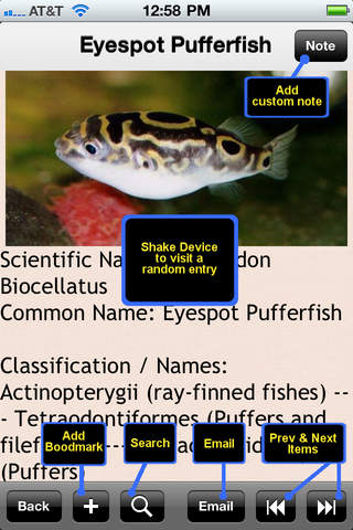Tropical Fish Bible+ - náhled