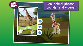 zoomoo app play store