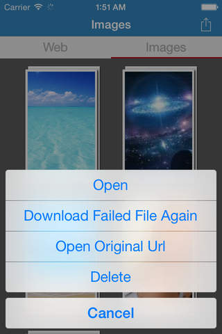 Awesome Web Image Collector Lite - náhled