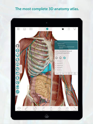 Human Anatomy Atlas – 3D Anatomical Model of the Human Body screenshot 6