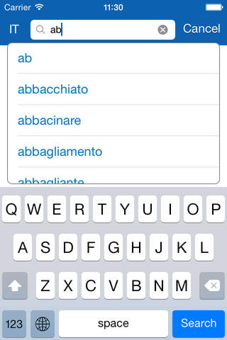 French <> Italian Dictionary + Vocabulary trainer - náhled