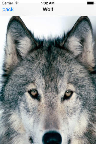 ANIMAL SOUNDBOARD SOUNDS - náhled