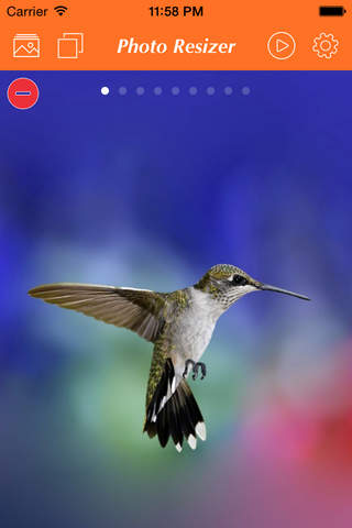 Photo Resizer - náhled