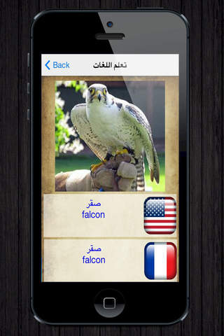 تعليم اللغات بالصور- ناطق وبدون انترنت - náhled