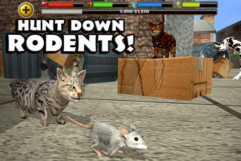 Stray Cat Simulator - náhled