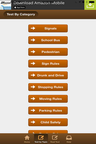 Michigan Basic Driving Test - náhled