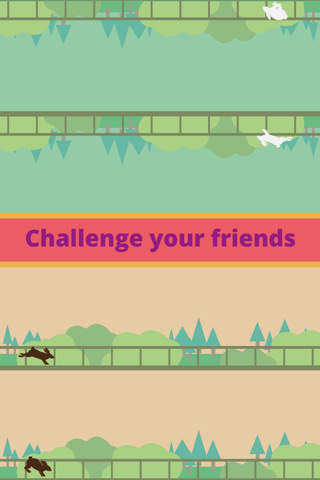 Make the Pet Jump Multiplayer - náhled