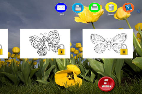 Coloring Book Butterflies - náhled